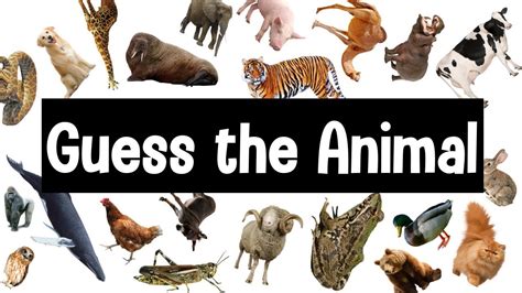 animals porn|Newest Animal Porn Videos